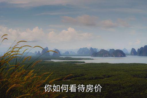 你如何看待房價