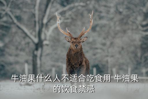 牛油果的功效與禁忌,牛油水果的功效與作用