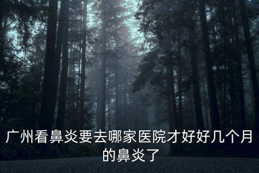 廣州看鼻炎要去哪家醫(yī)院才好好幾個(gè)月 的鼻炎了