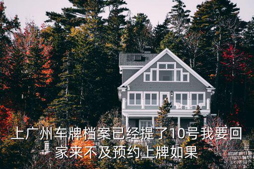 上廣州車牌檔案已經提了10號我要回家來不及預約上牌如果