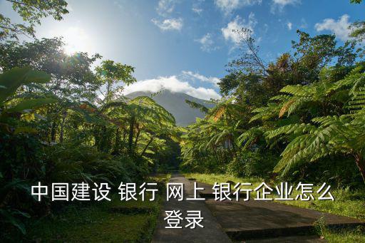 中國建設 銀行 網上 銀行企業怎么 登錄