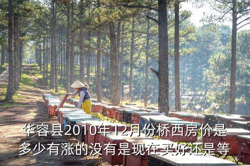 華容縣2010年12月份橋西房價是多少有漲的沒有是現在買好還是等