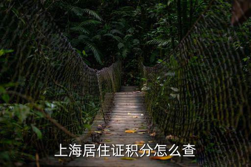 上海居住證積分怎么查