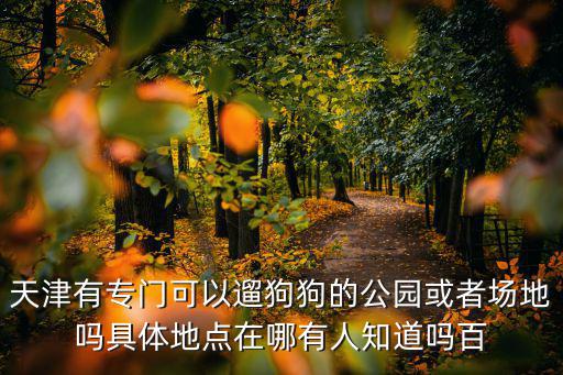 天津有專門可以遛狗狗的公園或者場地嗎具體地點在哪有人知道嗎百