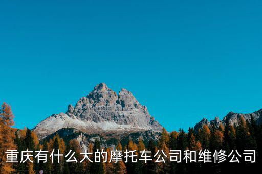 重慶有什么大的摩托車公司和維修公司