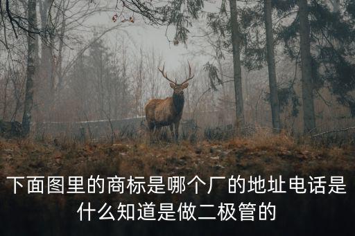 下面圖里的商標是哪個廠的地址電話是什么知道是做二極管的