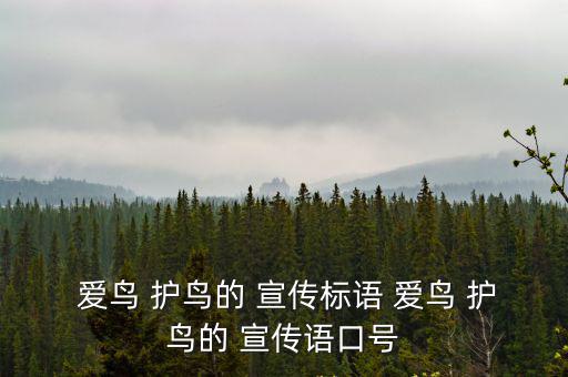 愛鳥護鳥的宣傳語,愛鳥護鳥是人類的美德