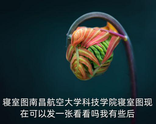 寢室圖南昌航空大學科技學院寢室圖現在可以發一張看看嗎我有些后