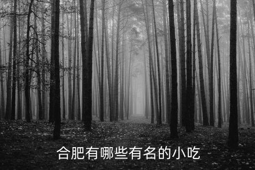 合肥菜,肥西老雞湯首次納入徽菜范疇