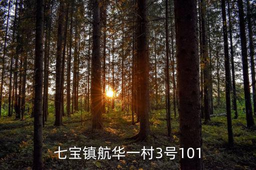 七寶鎮(zhèn)航華一村3號(hào)101