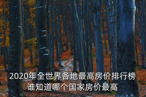2020年全世界各地最高房價排行榜誰知道哪個國家房價最高