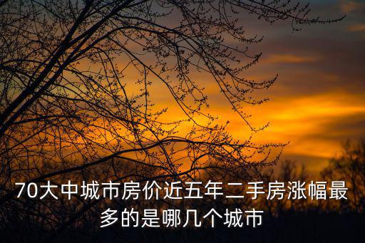 70大中城市房價近五年二手房漲幅最多的是哪幾個城市