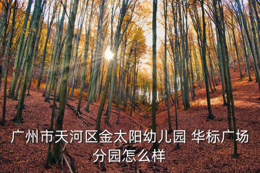 廣州市天河區金太陽幼兒園 華標廣場分園怎么樣
