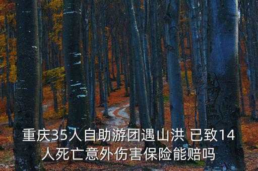 重慶市亂倒渣責(zé)任，重慶35人自助游團(tuán)遇山洪 已致14人死亡意外傷害保險(xiǎn)能賠嗎