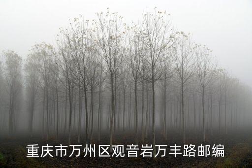 重慶市萬州區(qū)觀音巖屬于哪個(gè)街道，重慶市萬州區(qū)觀音巖萬豐路郵編