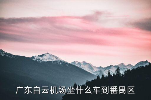 廣東白云機場坐什么車到番禺區