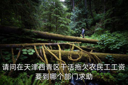 天津市西青區(qū)王村別墅違章強(qiáng)拆，請問在天津西青區(qū)干活拖欠農(nóng)民工工資要到哪個(gè)部門求助