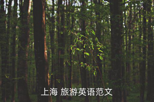 英語作文介紹上海的旅游景點，上海 旅游英語范文