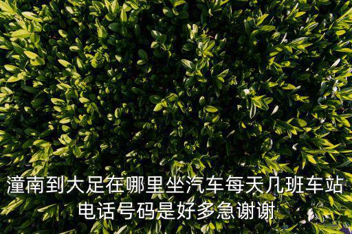 潼南到大足在哪里坐汽車每天幾班車站電話號碼是好多急謝謝