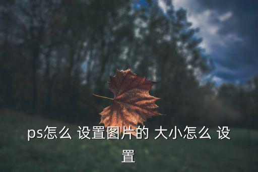ps怎么 設置圖片的 大小怎么 設置