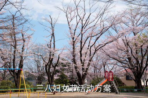 三八婦女節活動方案