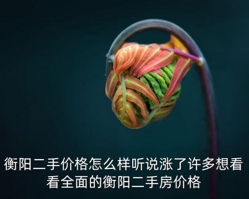 衡陽二手價格怎么樣聽說漲了許多想看看全面的衡陽二手房價格