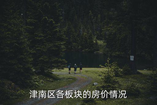 津南區(qū)各板塊的房價情況