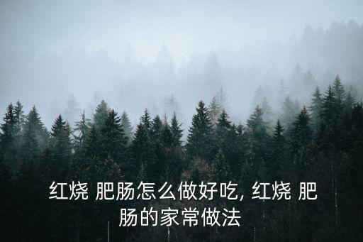  紅燒 肥腸怎么做好吃, 紅燒 肥腸的家常做法