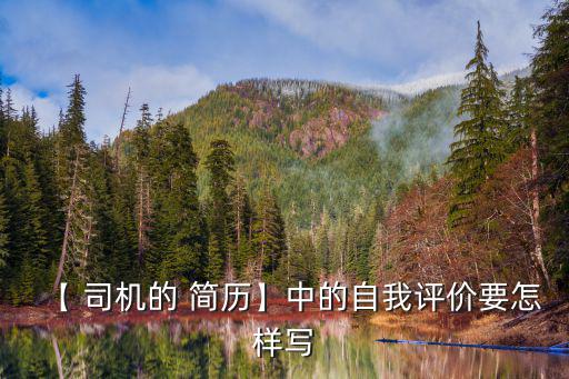 【 司機的 簡歷】中的自我評價要怎樣寫