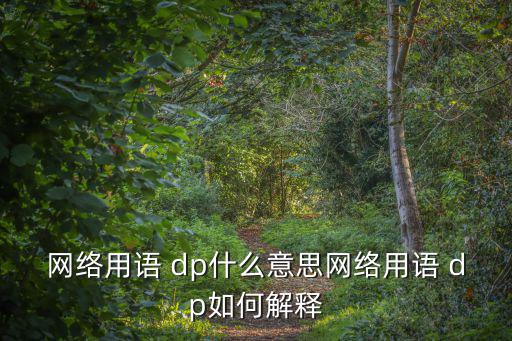 dp是什么意思,dp銀行托收意思是把單據交給對方銀行