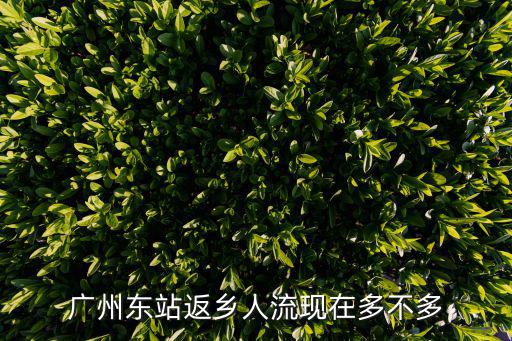 廣州返程人多嗎，現(xiàn)在從廣州做火車回棗陽(yáng)的人多嗎
