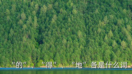 “的”、“得”、“地”各是什么詞