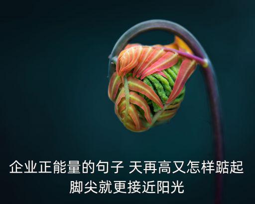 企業正能量的句子 天再高又怎樣踮起腳尖就更接近陽光