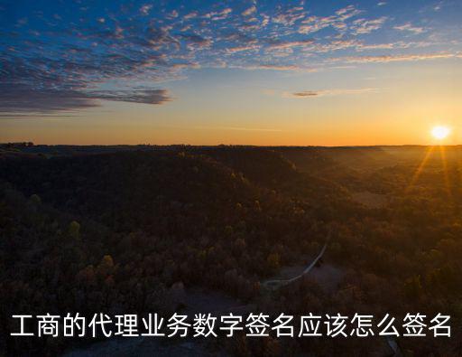 工商的代理業務數字簽名應該怎么簽名