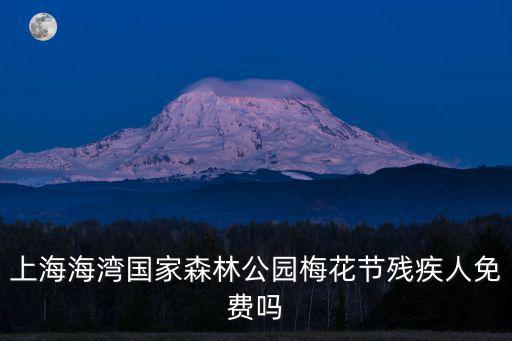 上海海灣國家森林公園梅花節殘疾人免費嗎