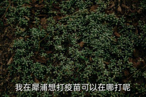 我在犀浦想打疫苗可以在哪打呢