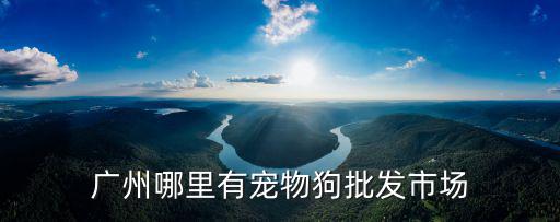 廣州哪里有寵物狗批發(fā)市場