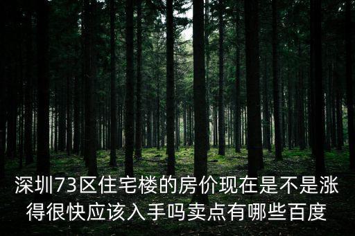 深圳73區住宅樓的房價現在是不是漲得很快應該入手嗎賣點有哪些百度