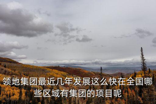 成都市領地天府國際康城項目評論，領地集團最近幾年發展這么快在全國哪些區域有集團的項目呢
