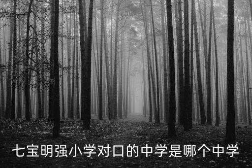 七寶明強小學對口的中學是哪個中學
