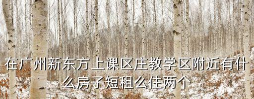 在廣州新東方上課區莊教學區附近有什么房子短租么住兩個