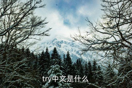 try什么意思，try 什么意思