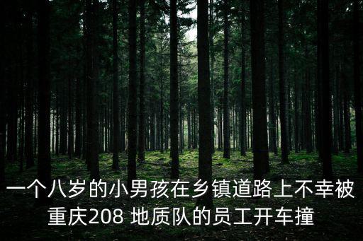 重慶市云山曉，一個八歲的小男孩在鄉鎮道路上不幸被重慶208 地質隊的員工開車撞