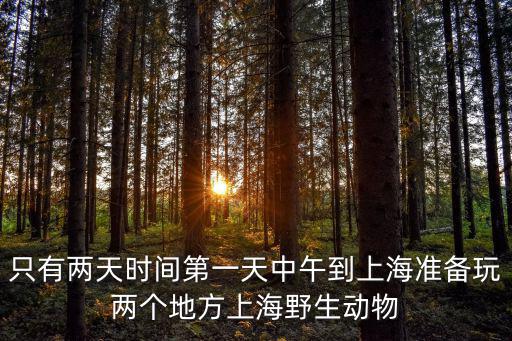 上海野生動物園附近的景點，上海野生動物園附近有什么好玩的