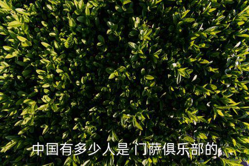 門薩中國,門薩的全球分支機(jī)構(gòu)有哪些?