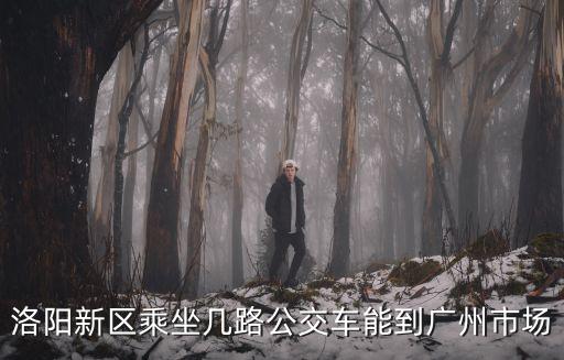 洛陽新區乘坐幾路公交車能到廣州市場