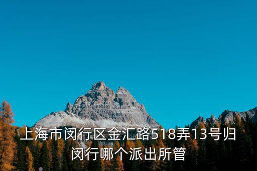 上海市閔行區(qū)金匯路518弄13號歸閔行哪個(gè)派出所管