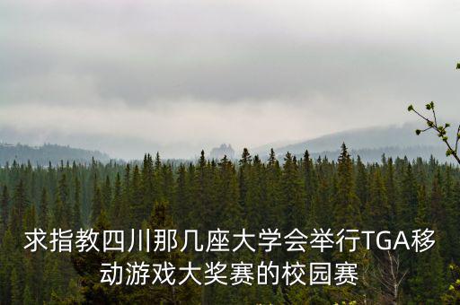 成都市的大學生比賽，我們想在成都的大學里面做一次電子競技大賽哪家比較專業呢