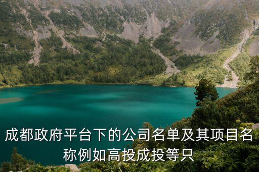 成都政府平臺下的公司名單及其項目名稱例如高投成投等只