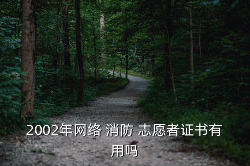 消防志愿者,消防志愿者團隊成立三個問題導致團隊不穩定